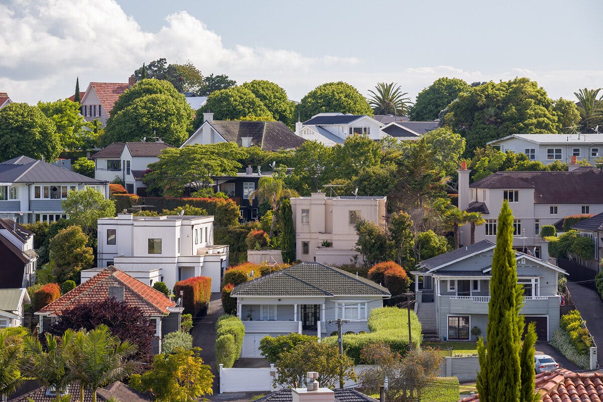 NZ Housing Market Finds a Base