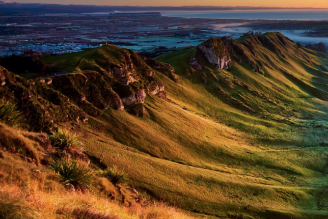 Hot Demand In Hawke’s Bay