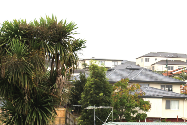 Southern Auckland Charm